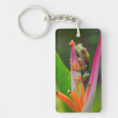Search for south america keychains Green