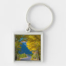Search for aspen colorado keychains Rocky mountains