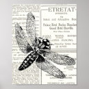 Search for insecte posters Retro