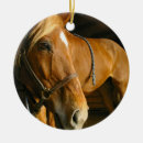 Search for rider ornaments Horseback riding