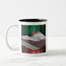 Search for northern lights mugs Mountain