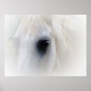 Recherche de oeil de cheval Blanc