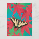 Recherche de butterfly cartes postales Orange