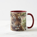 Recherche de tigres tasses Photographie