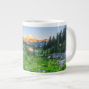Search for mount rainier national park mugs Forest