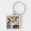 Search for sled keychains Husky