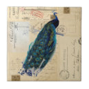 Search for peacock green tiles Teal