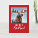 Search for moose holiday cards Funny