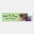 Search for paint bumper stickers Equestrian