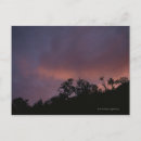 Recherche de scène tranquille cartes postales Arbre