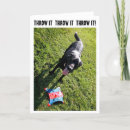 Search for black labrador retriever birthday cards Funny