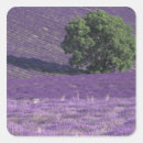 Search for provence france stickers Landscape