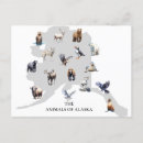 Search for animals of north america postcards Alaska