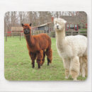 Search for fleece electronics Wool