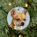 Search for chihuahua christmas decor Animals