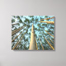 Search for trunk canvas prints Leaf