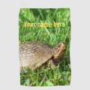 Recherche de terrapene Tortue