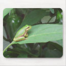 Recherche de grenouilles tapis souris Animaux