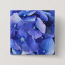 Search for flower square buttons Hydrangeas