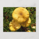 Recherche de comestible cartes postales Nature