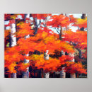 Search for beautiful forest posters Season