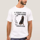 Search for setters Cute