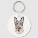Recherche de german shepherd dog Gsd