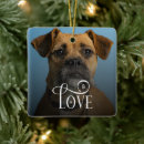 Search for boxer dog ornaments Pets