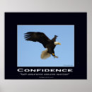 Recherche de aigle chauve posters Rapace