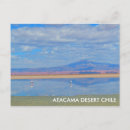 Recherche de rose flamant cartes postales Lagon