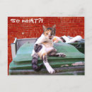 Recherche de regard chat cartes postales Ville