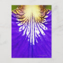 Recherche de iris bleu cartes postales Nature