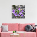 Search for viola canvas prints Purple