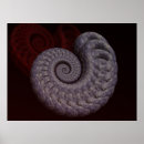 Search for ammonite art Seashell