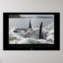 Recherche de orca posters Océan