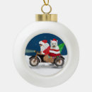 Recherche de west ornaments Neige