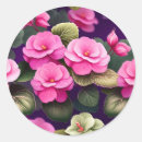 Search for begonia stickers Floral