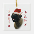 Search for santa paws ornaments Dog