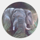 Search for african mammals stickers Animal