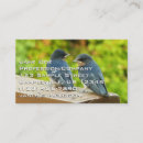 Search for swallows photography Barn swallow
