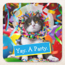 Search for funny cat coasters Happy birthday