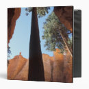 Search for utah binders Canyon