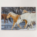 Search for horse puzzles Wild animal