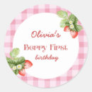 Search for retro pink gingham stickers Summer fruit