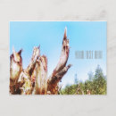 Search for chopping postcards Tree