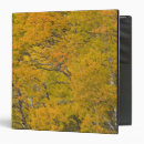Search for nears binders Autumn