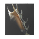 Recherche de objets blocsnotes Objet simple