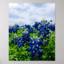 Recherche de étoile solitaire posters État du texas