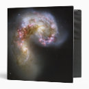 Search for evolution binders Galactic