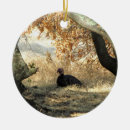 Search for turkey ornaments Wildlife